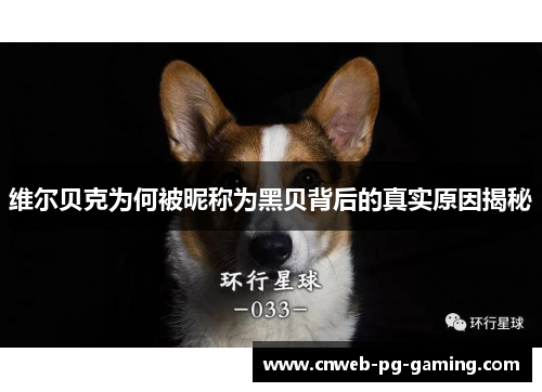 维尔贝克为何被昵称为黑贝背后的真实原因揭秘 维尔贝克为何被昵称为黑贝背后的真实原因揭秘