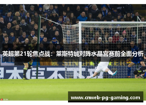 英超第21轮焦点战:莱斯特城对阵水晶宫赛前全面分析 英超第21轮焦点战:莱斯特城对阵水晶宫赛前全面分析