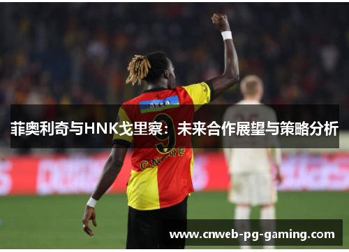 菲奥利奇与HNK戈里察:未来合作展望与策略分析 菲奥利奇与HNK戈里察:未来合作展望与策略分析