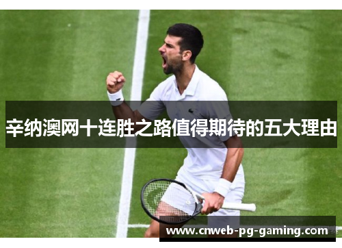 辛纳澳网十连胜之路值得期待的五大理由