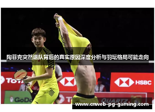 陶菲克突然退队背后的真实原因深度分析与羽坛格局可能走向