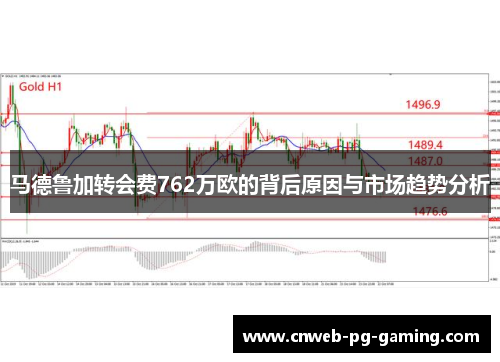 马德鲁加转会费762万欧的背后原因与市场趋势分析