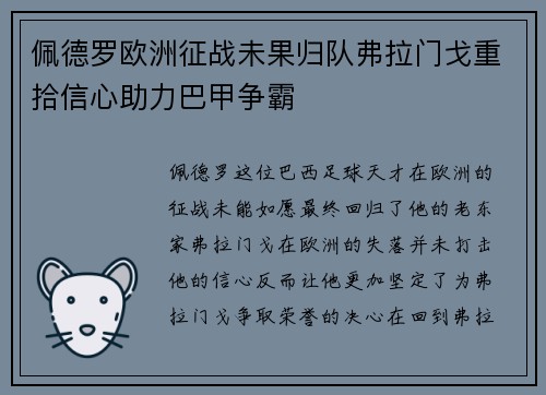 佩德罗欧洲征战未果归队弗拉门戈重拾信心助力巴甲争霸